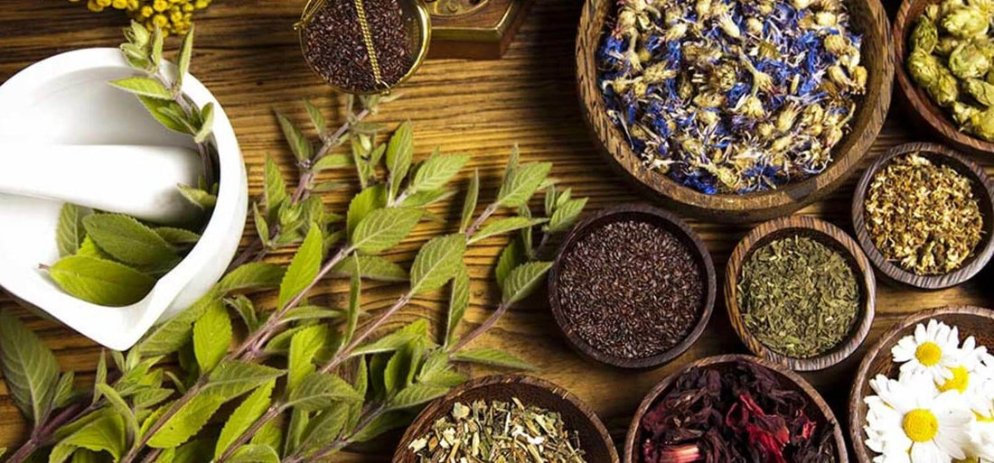 Nature’s Answer to Modern Skincare