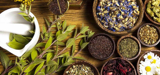 Nature’s Answer to Modern Skincare